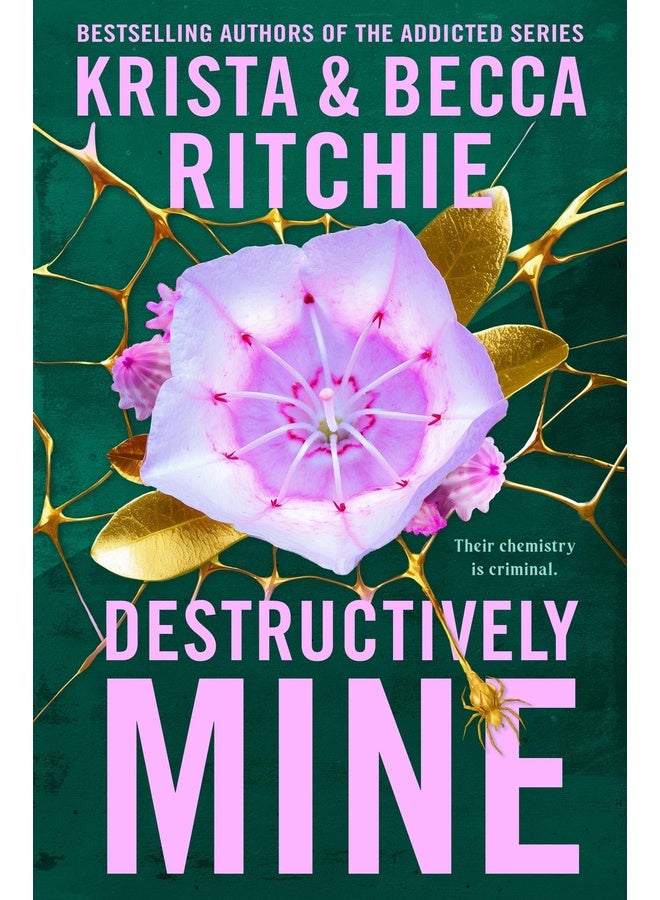 Destructively Mine: A deliciously angsty small town romance from TikTok sensations and authors of the Addicted series (Webs We Weave)